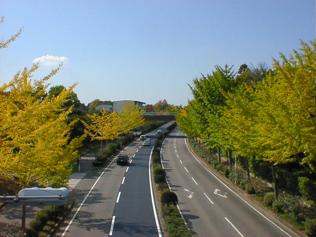 20031026_113218-00-dsc-x100