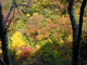 20031102_124150-00-dsc-x100