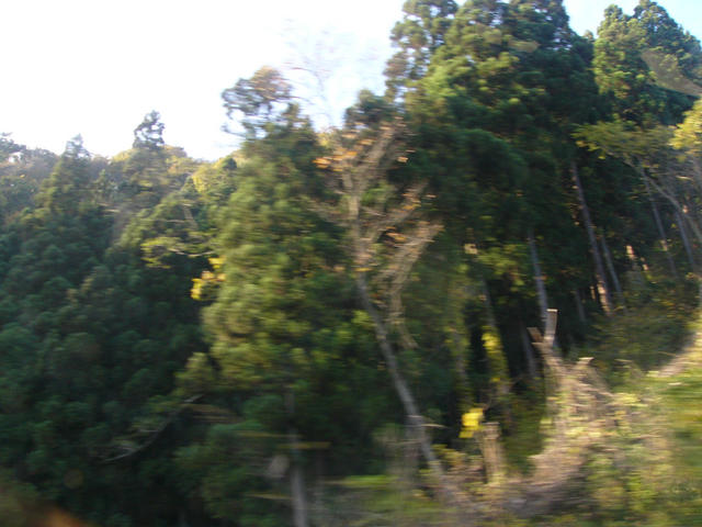 20031116_142842-00-dmc-fz10