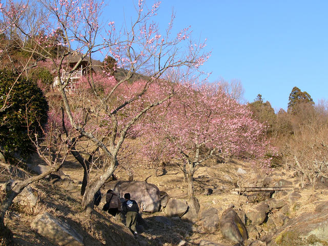 20040215_161607-00-pn
