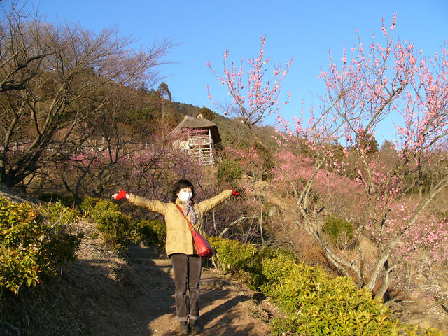 20040215_162554-00-pn