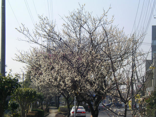 20040222_114041-00-j2