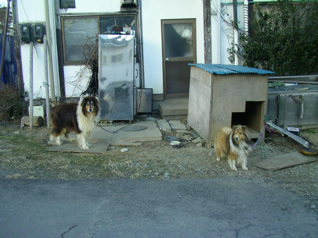 20040226_165243-00-j2