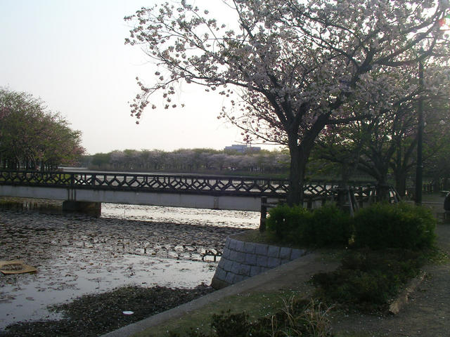 SANY4059