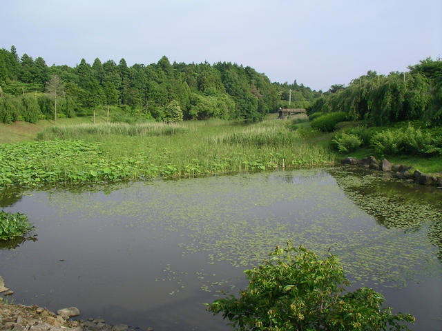 SANY5066
