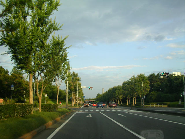 SANY6586