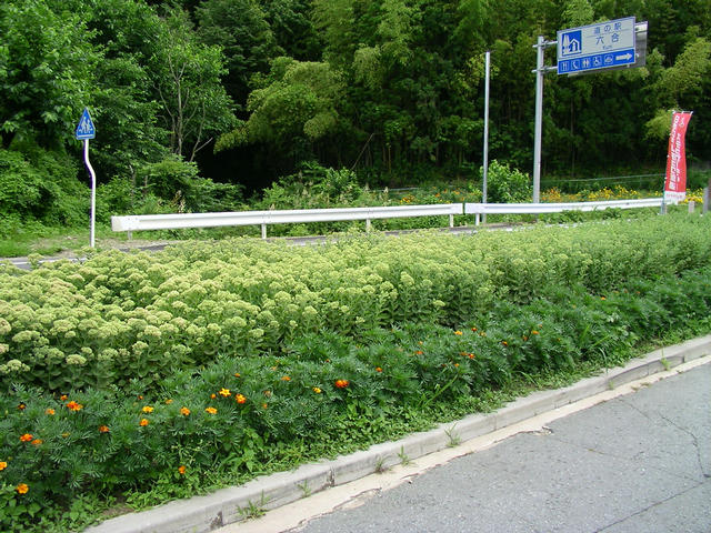 20040721_113801-00-j2