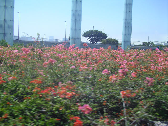 20040807_113729-00-j2
