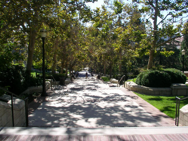 20040807_161230-00-j1