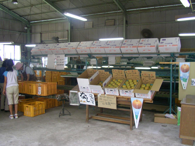 SANY8746