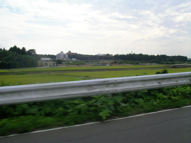 SANY8760