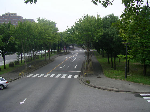 SANY8788