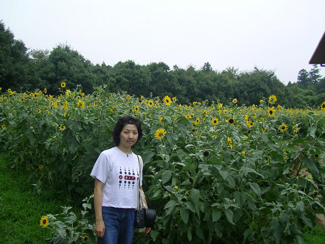 SANY9140