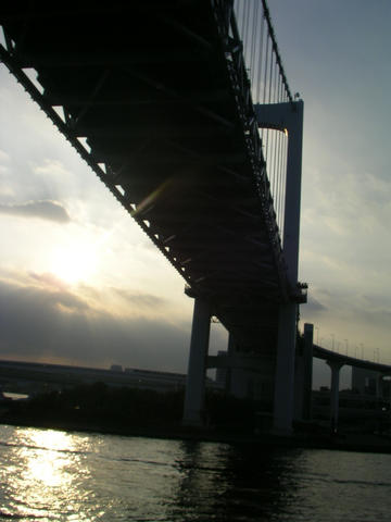 SANY9382