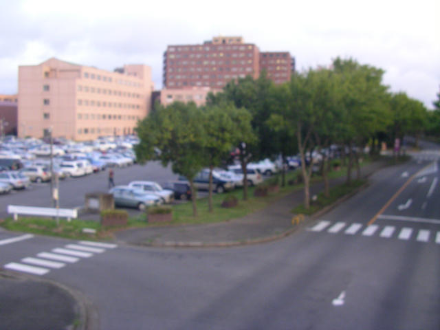 SANY0160