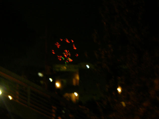 SANY0237