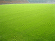 20041123_120022-00-j2