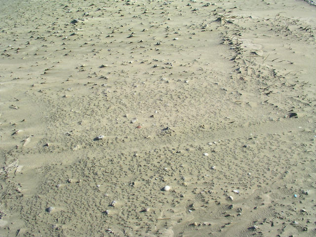 20041206_094258-00-j2