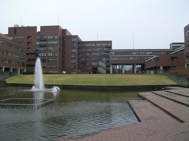 SANY3144