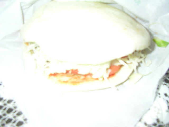 SANY1317