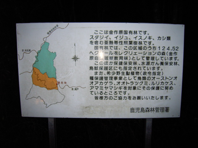 20051123_172533-00-gx8