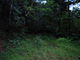 20051123_172642-00-gx8