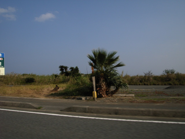 20051125_140310-00-gx8