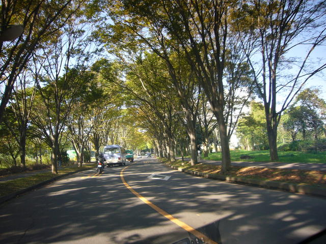 P1080082