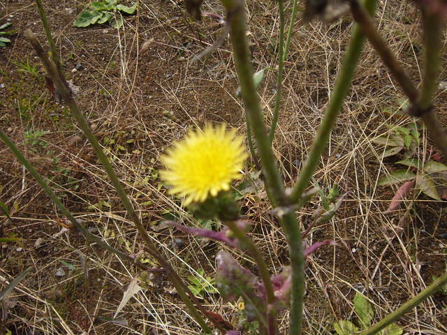 P1080586