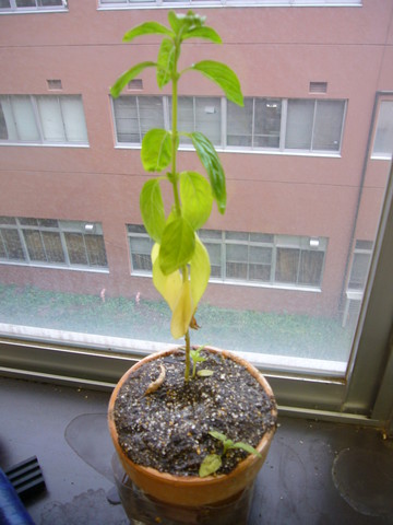 P1110014