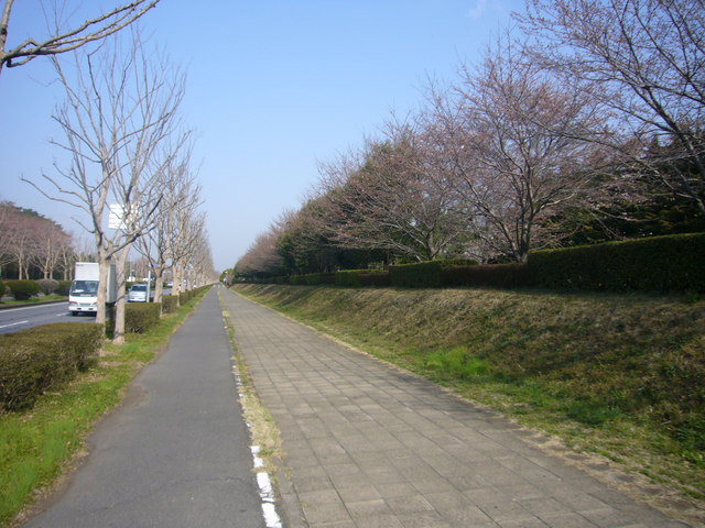 P1150278