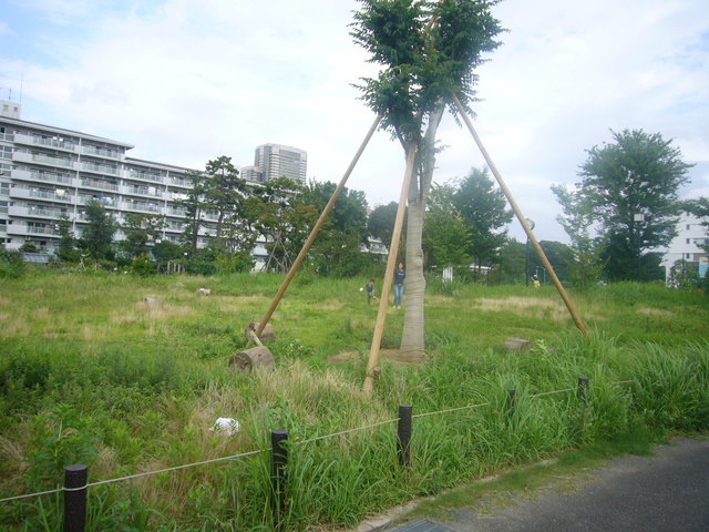 P1190969