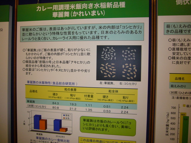 P1220320