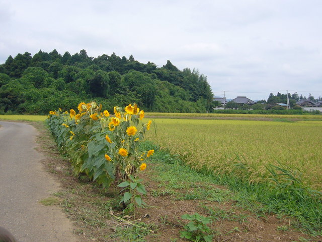 P1220436