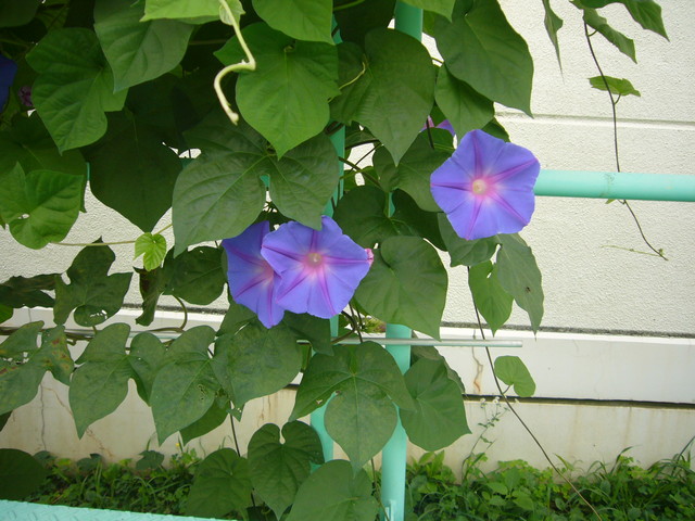 P1220488