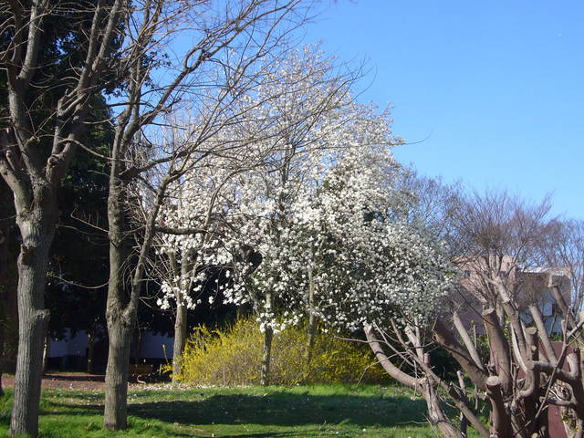 0005--P1320480_fx01