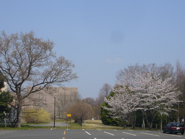 0031--P1320545_fx01