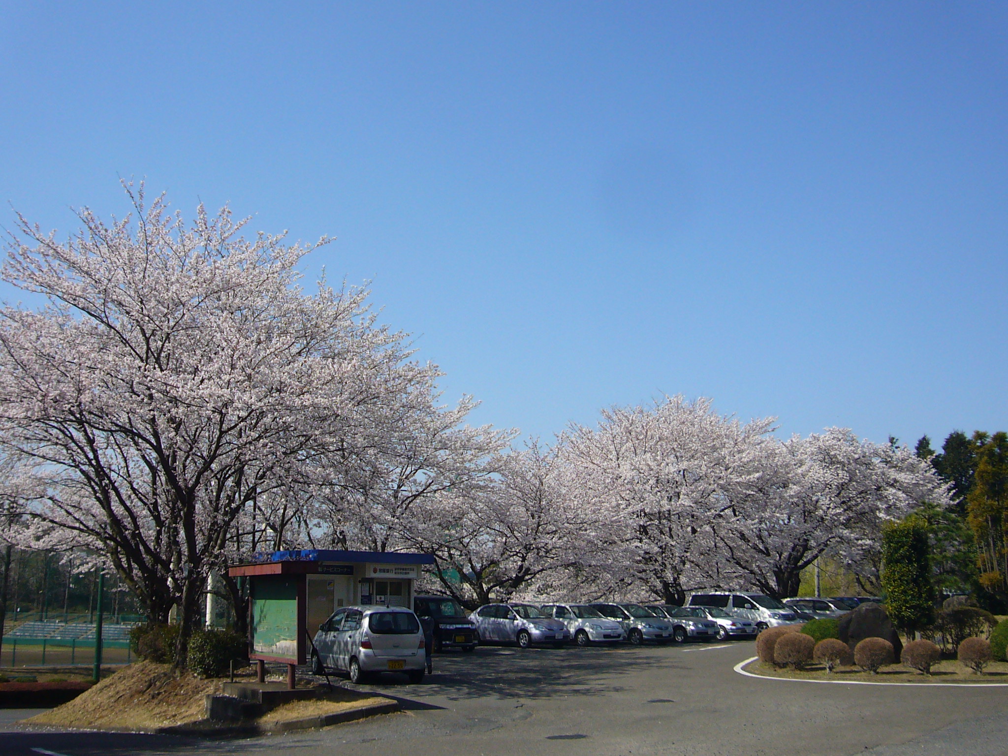 0008--P1320576_fx01