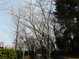 0008--P1000209_fz18.JPG