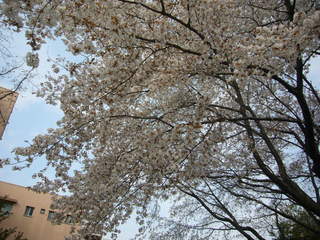 0002--P1320691_fx01.JPG