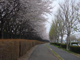 0020--P1320708_fx01.JPG