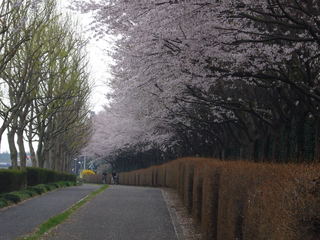 0022--P1320710_fx01.JPG