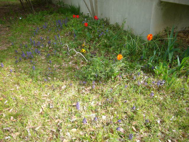 0004--P1320977_fx01