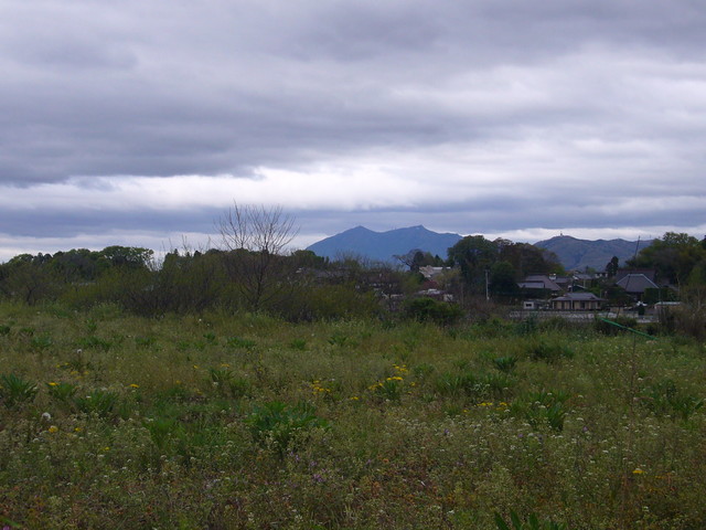 0002--P1330069_fx01