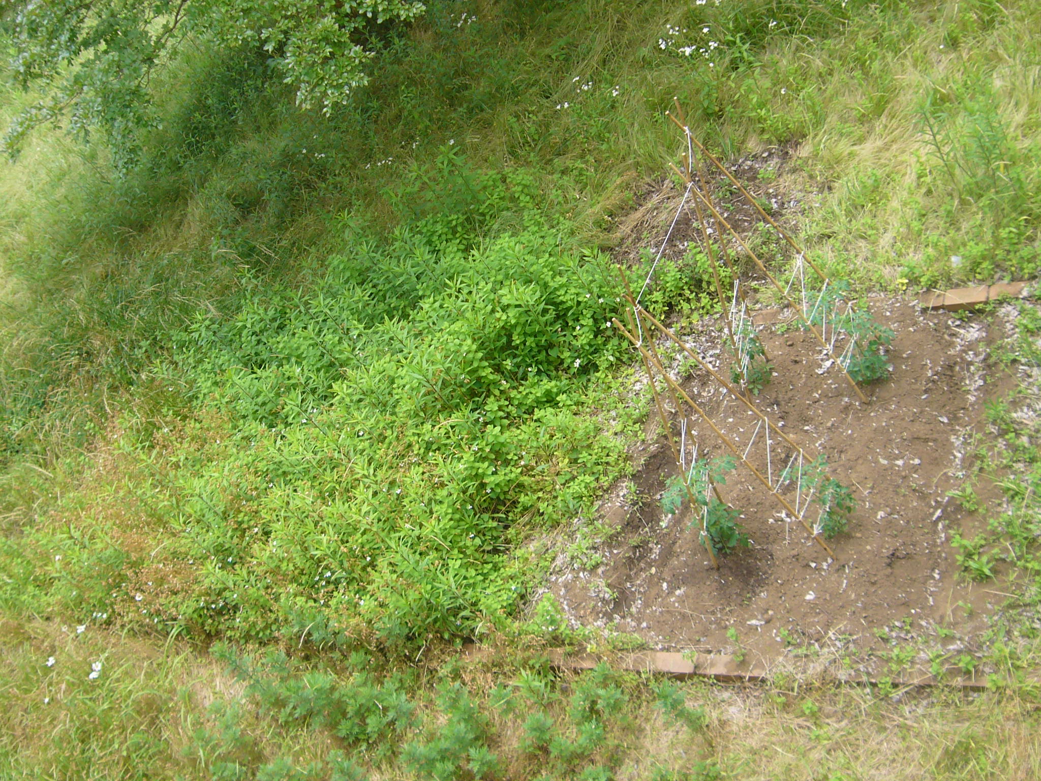 P1340837_fx01