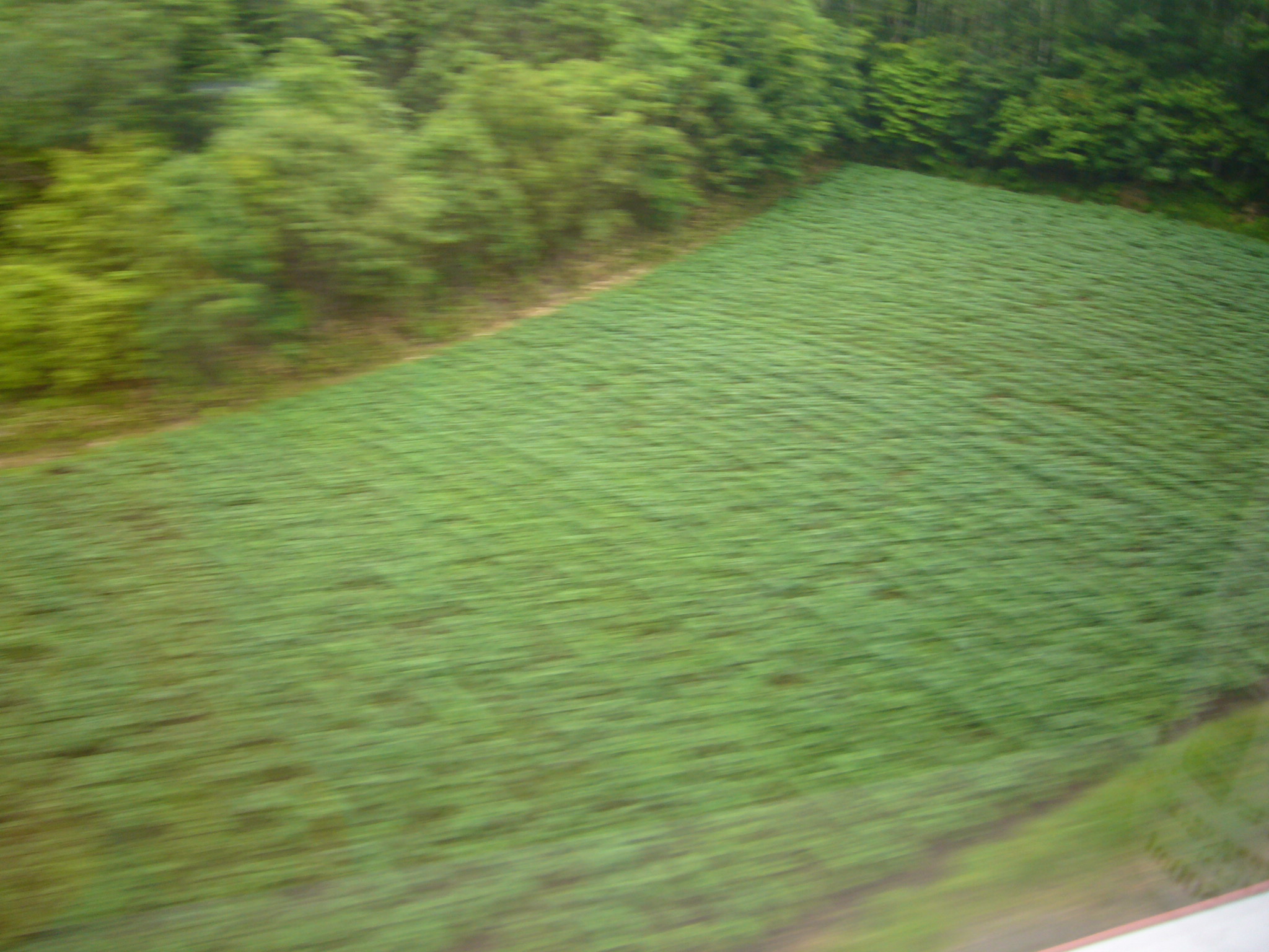 P1350165_fx01