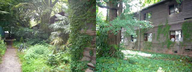 P1360224_fx01