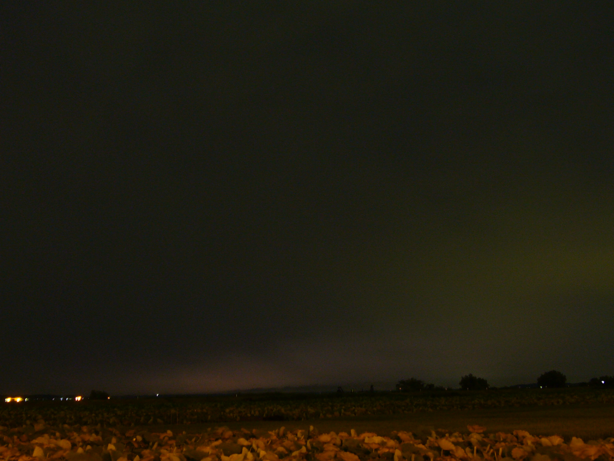 P1360377_fx01