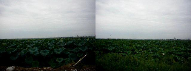 P1370571.MOV