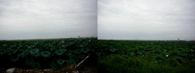 P1370571